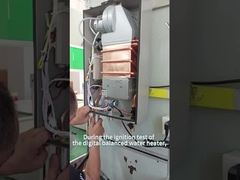 완전 자동 16L 실내 가스 워터 히터 일정한 온도 스마트 팬 강제