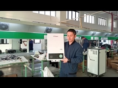 CE 인증 12L 균형 잡힌 연소 가스 워터 히터 OEM 지원