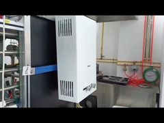 10L 용량 가스 워터 히터 균형 피스 시스템 빠른 난방